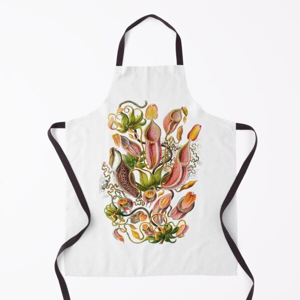 Artikelvorschau, Ernst Haeckel Nepenthaceae Kannenpflanze entworfen und verkauft von aimeewilson.