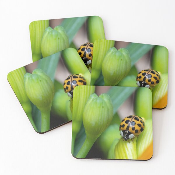 Item preview, ladybug on daylilies designed and sold by SorryToBugYou.