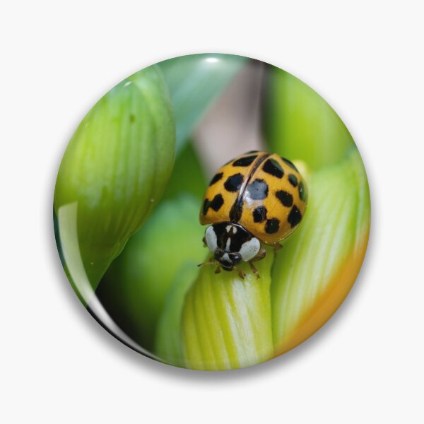 Item preview, ladybug on daylilies designed and sold by SorryToBugYou.