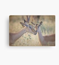 HAPPY MOTHERSDAY! Canvas Print