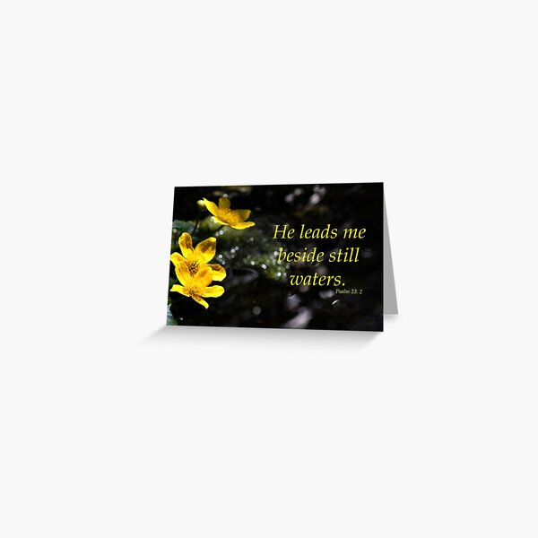 Still Waters Greeting Card