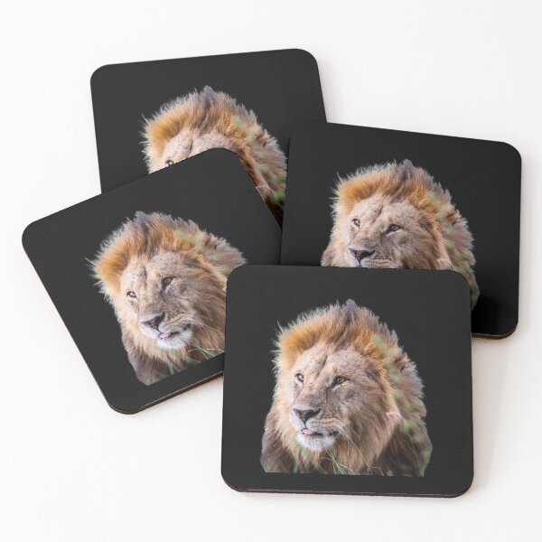 Item preview, Focused Lion Image designed and sold by timg58.