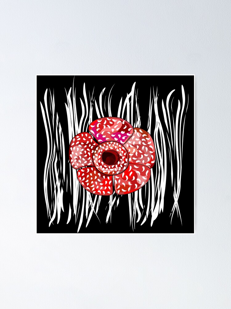 Black And White Rafflesia Arnoldi Flower Poster By K Rastory Redbubble