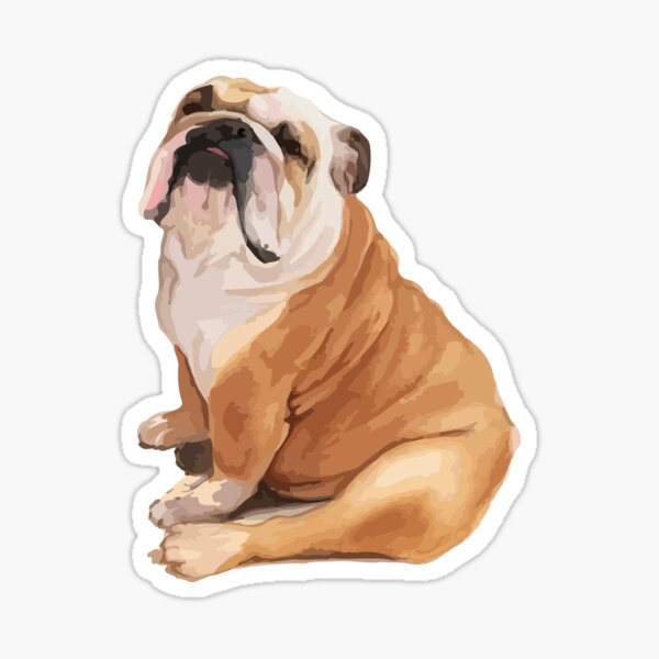 English Bulldog Stickers Sticker