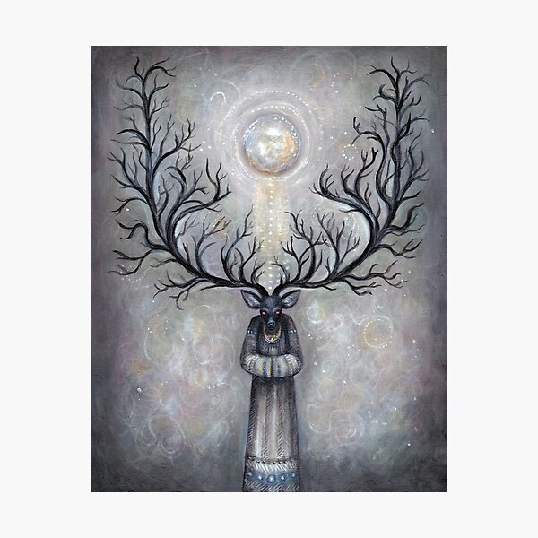 Forest Guardian  Photographic Print