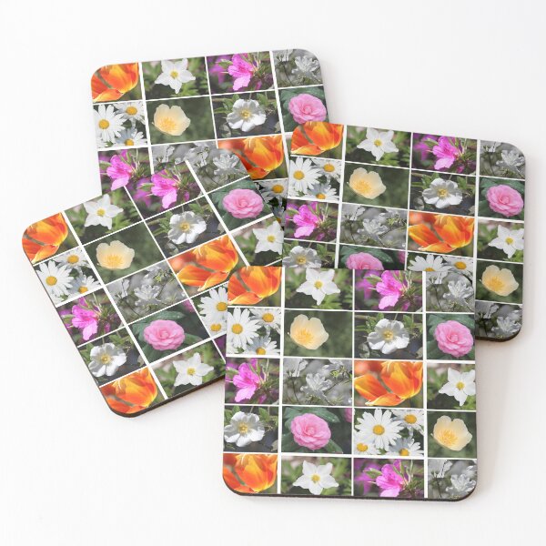 Item preview, Bloom Collection designed and sold by Autumn Seas Photography.
