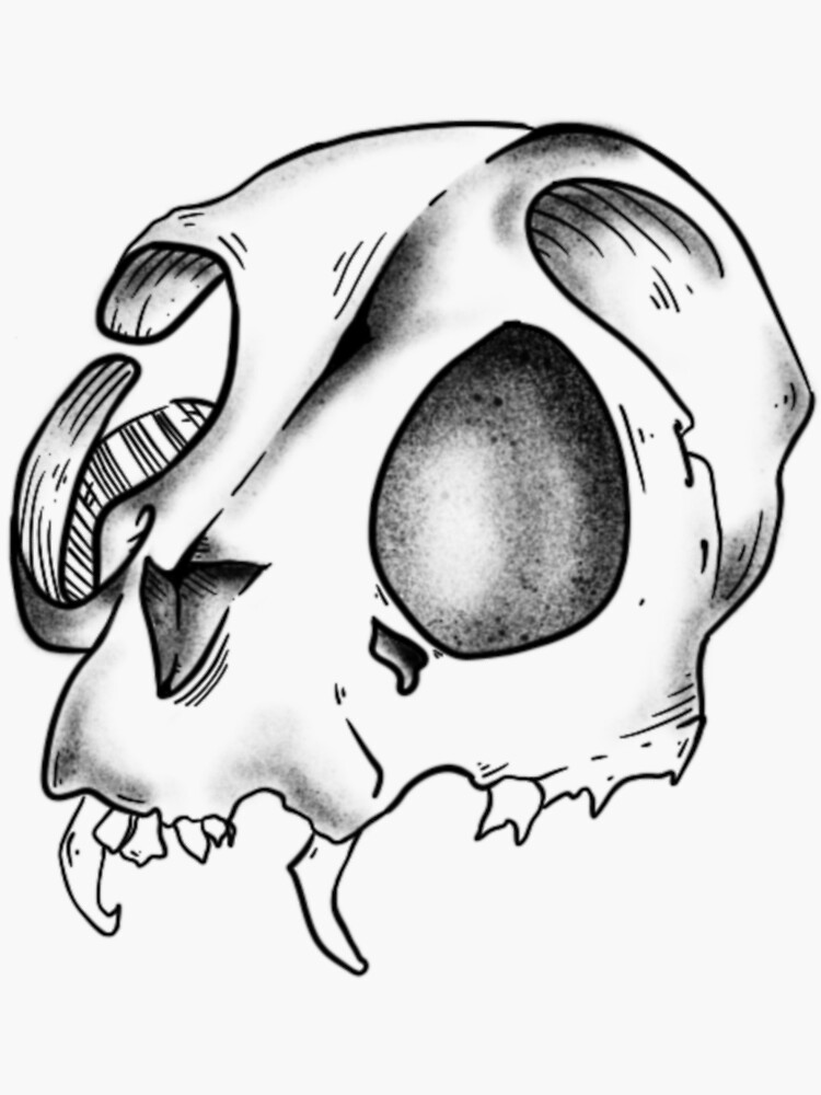 "Cat skull" Sticker by aloenleaves | Redbubble