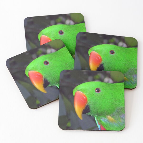 Item preview, Male Eclectus Parrot (Eclectus roratus) designed and sold by Marilyn Harris.