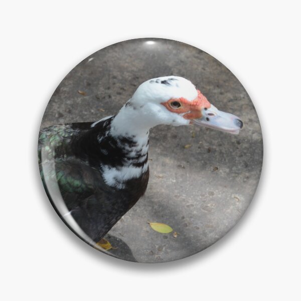 Item preview, duck designed and sold by teacup21.