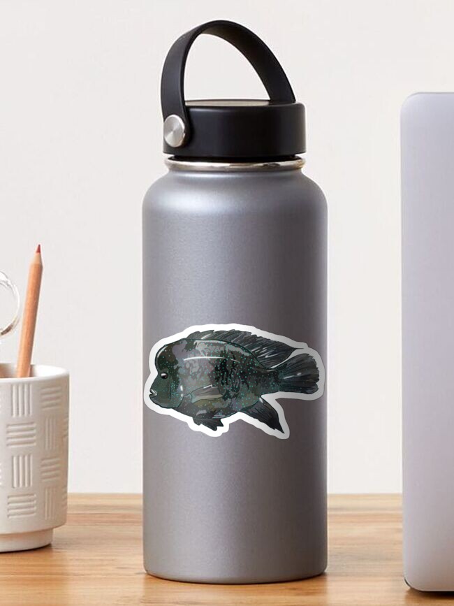 Texas Natives Rio Grande Cichlid Sticker By Annabeloutdoors Redbubble