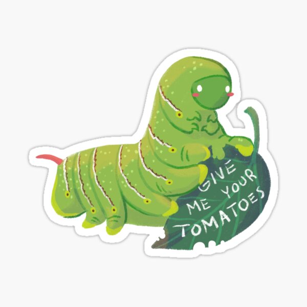 Tomato-loving caterpillar Sticker