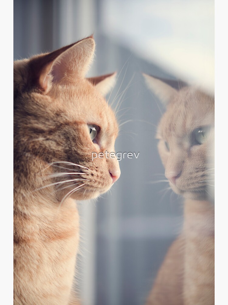 Someone's Watching Me by petegrev