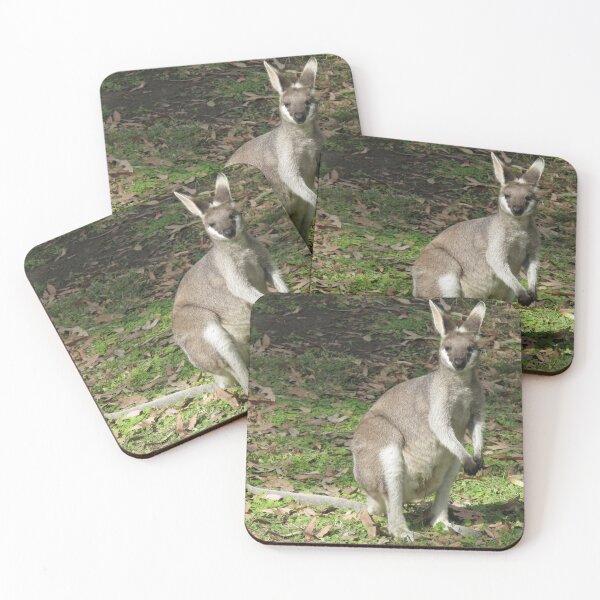Item preview, Pretty Face Wallaby or Whiptail Wallaby (Macropus parryi) designed and sold by Marilyn Harris.