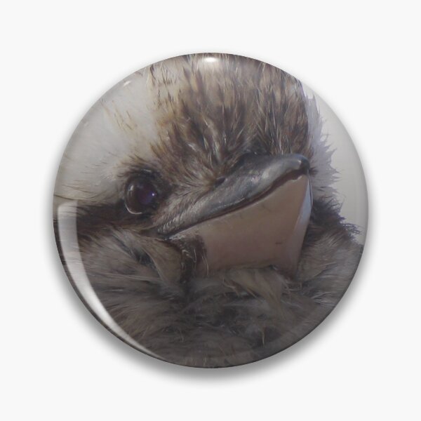 Item preview, The Laughing Kookaburra - An Aussie Icon!! designed and sold by Marilyn Harris.
