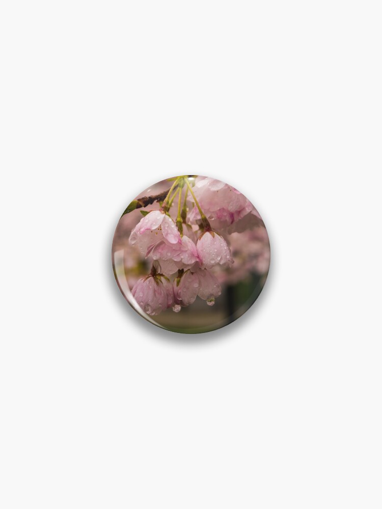 Thumbnail 1 of 3, Pin, Cherry Blossoms and Rain Drops designed and sold by raetucker.