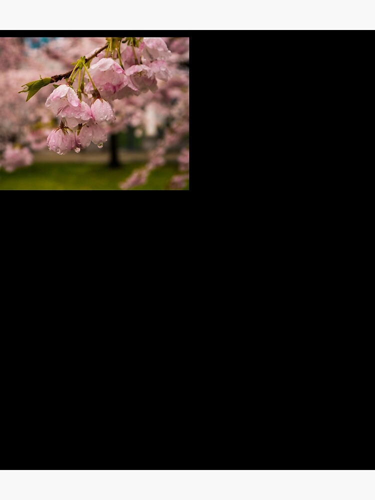 Thumbnail 3 of 3, Backpack, Cherry Blossoms and Rain Drops designed and sold by raetucker.