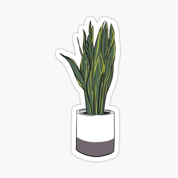 Kiss-Cut Sticker Snake Plant Neutral Colors Plants Are Friends