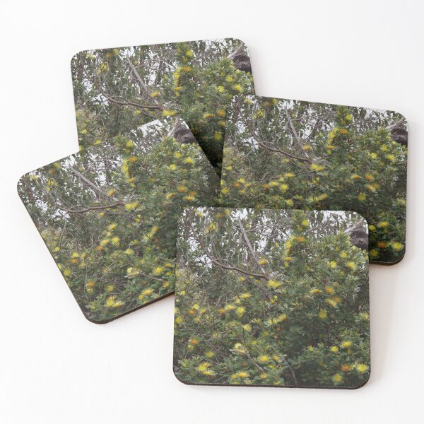 Item preview, Dryandra Bush designed and sold by lezvee.