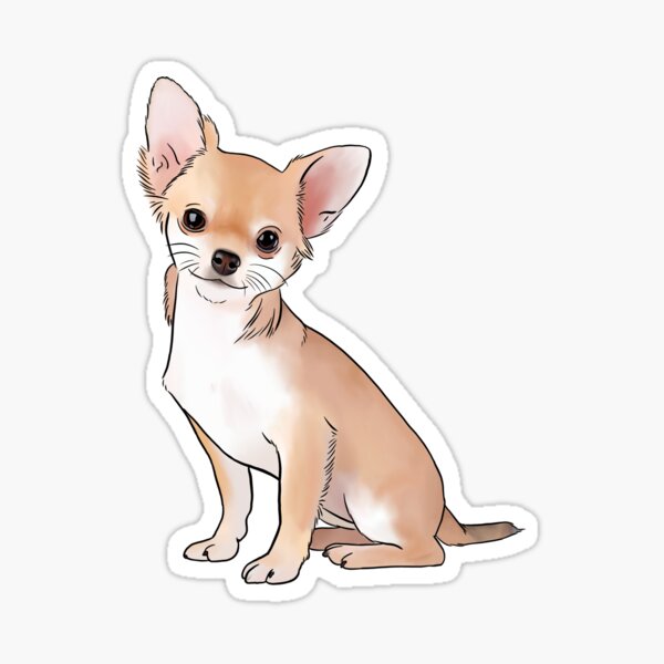 Chihuahua Dog Sticker