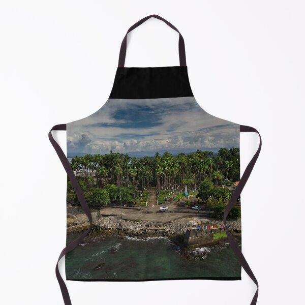Item preview, Beautiful aerial view of the Vargas Park in Limon Downtown in Costa Rica (pura vida!) designed and sold by Gianvivi.