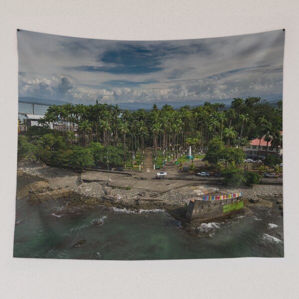 Item preview, Beautiful aerial view of the Vargas Park in Limon Downtown in Costa Rica (pura vida!) designed and sold by Gianvivi.