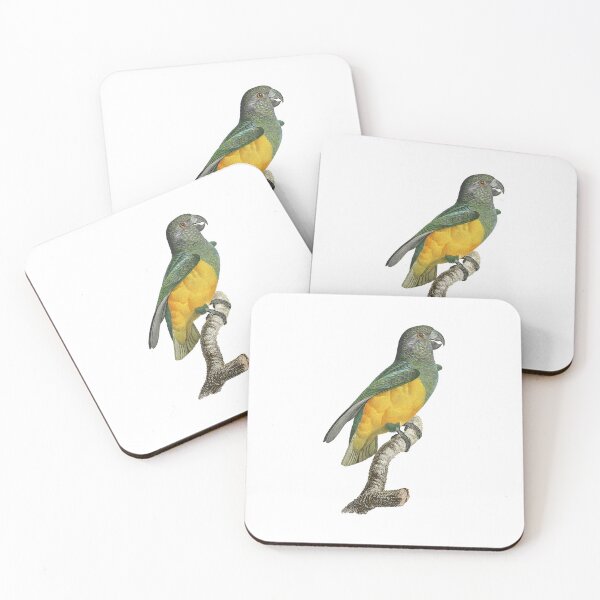 Item preview, Senegal parrot designed and sold by Photopicture.