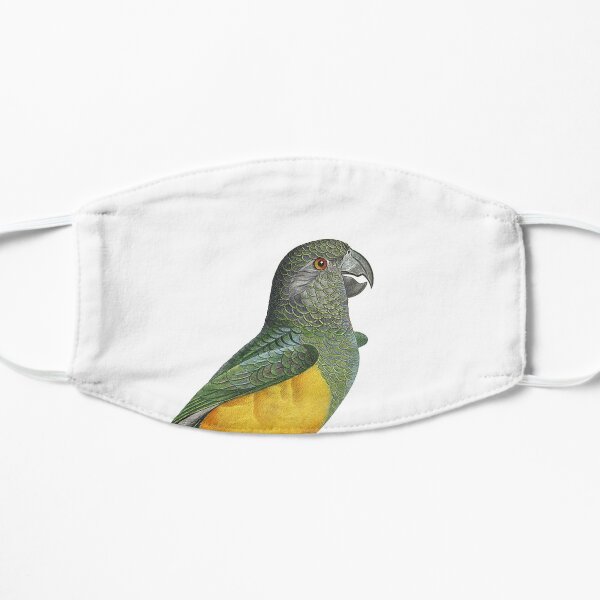 Senegal parrot Mask