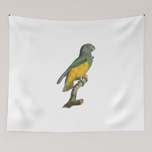 Item preview, Senegal parrot designed and sold by Photopicture.