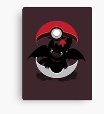 How To Catch Your Dragon Canvas Print