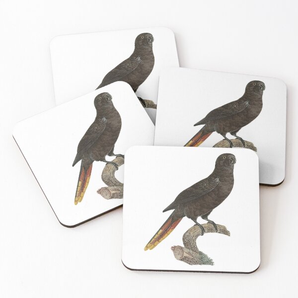 Item preview, Black lory designed and sold by Photopicture.