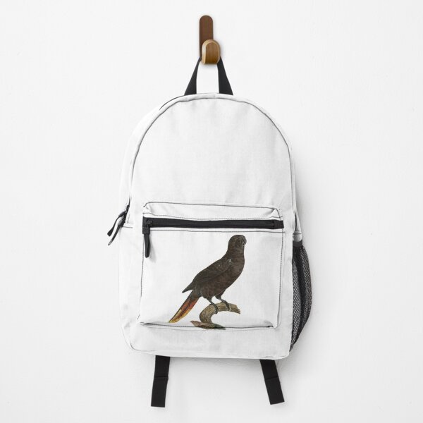 Item preview, Black lory designed and sold by Photopicture.