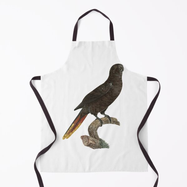 Item preview, Black lory designed and sold by Photopicture.