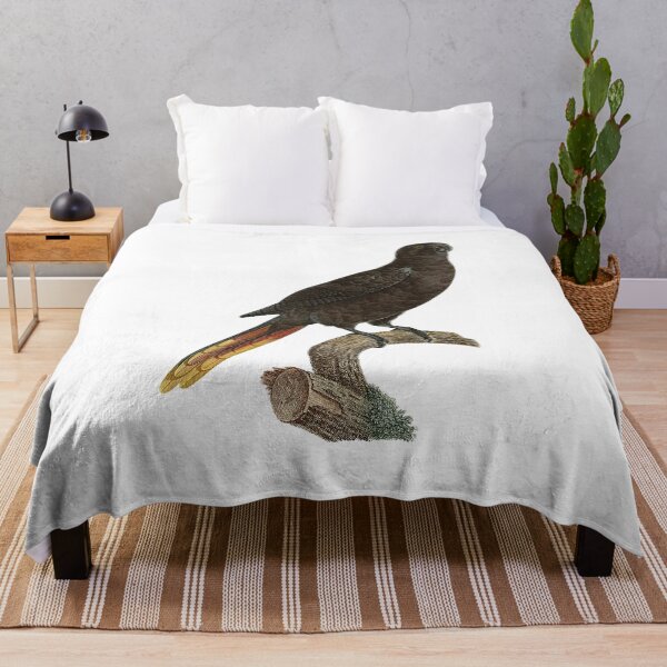 Item preview, Black lory designed and sold by Photopicture.