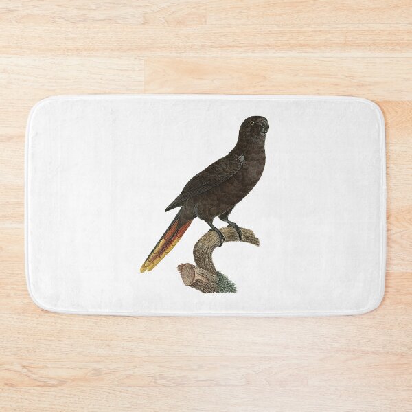 Item preview, Black lory designed and sold by Photopicture.