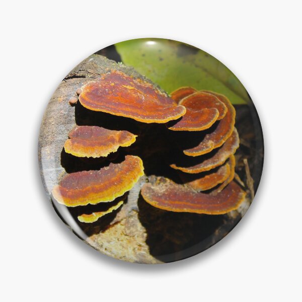 Item preview, Magical mushrooms designed and sold by lolla-doesstuff.