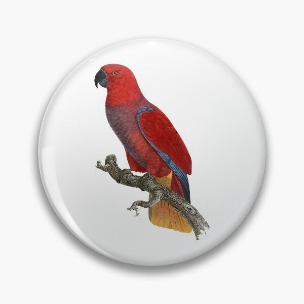 Item preview, Cardinal lory designed and sold by Photopicture.