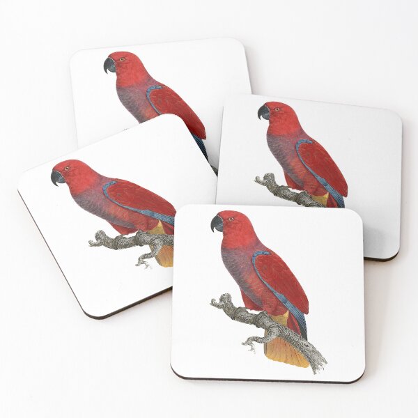 Item preview, Cardinal lory designed and sold by Photopicture.