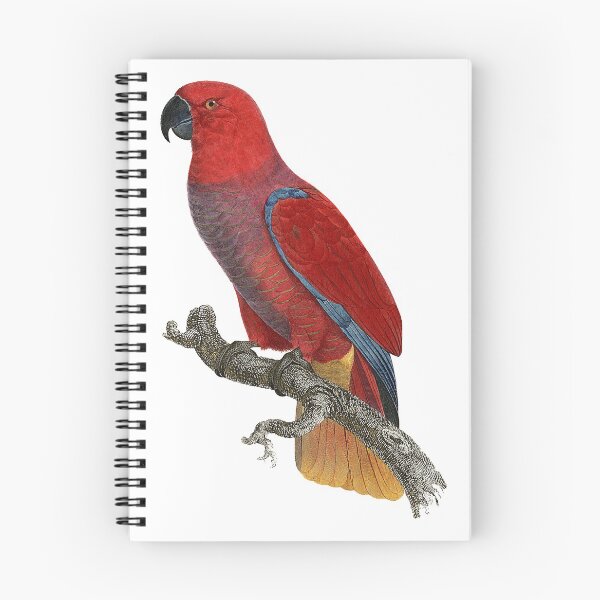 Item preview, Cardinal lory designed and sold by Photopicture.
