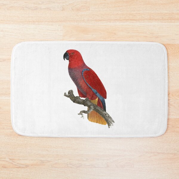 Item preview, Cardinal lory designed and sold by Photopicture.