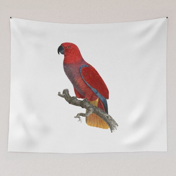 Item preview, Cardinal lory designed and sold by Photopicture.