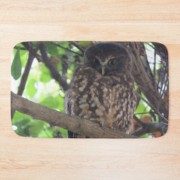Item preview, Watchful Owl designed and sold by KarenWoodArt.