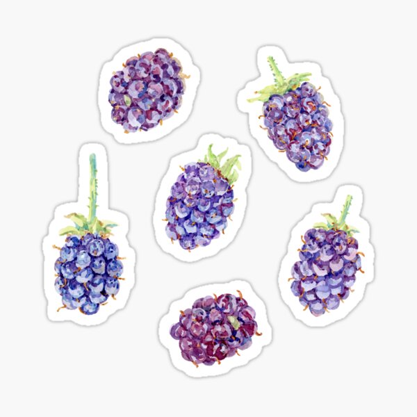 Artikel-Vorschau von Brombeeren, designt und verkauft von beccaboyce.