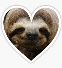 Sloth Love Sticker