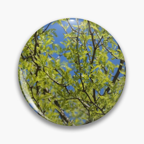Item preview, Spring walk designed and sold by Boscastle.