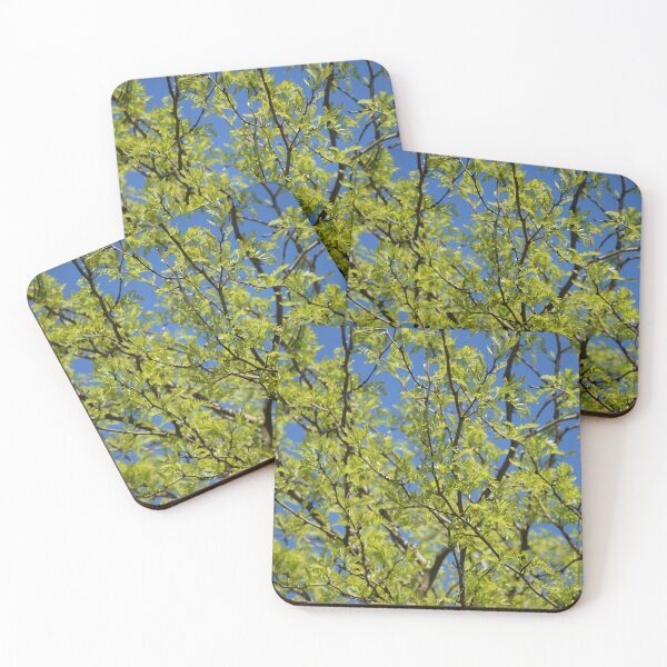 Item preview, Spring walk designed and sold by Boscastle.