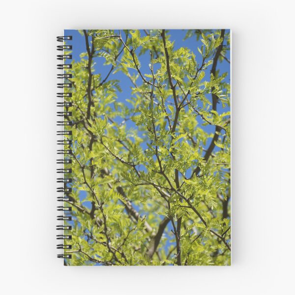 Item preview, Spring walk designed and sold by Boscastle.
