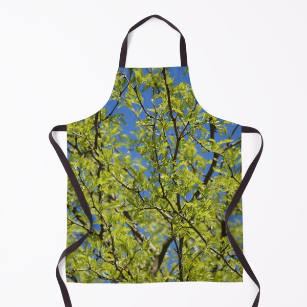 Item preview, Spring walk designed and sold by Boscastle.