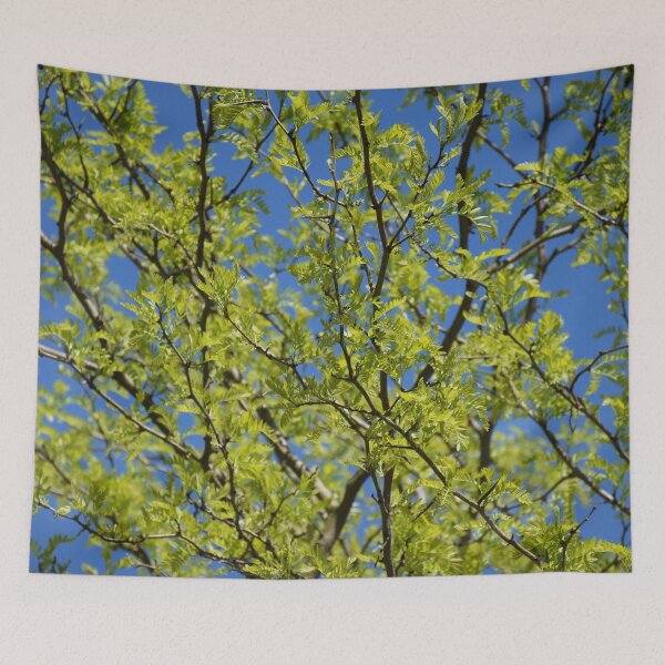 Item preview, Spring walk designed and sold by Boscastle.