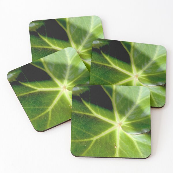 Item preview, Begonia Erythrophylla green round leaves	 designed and sold by EstelleRossetti.