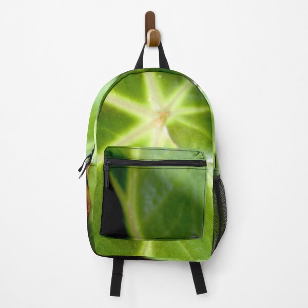 Item preview, Begonia Erythrophylla green round leaves designed and sold by EstelleRossetti.